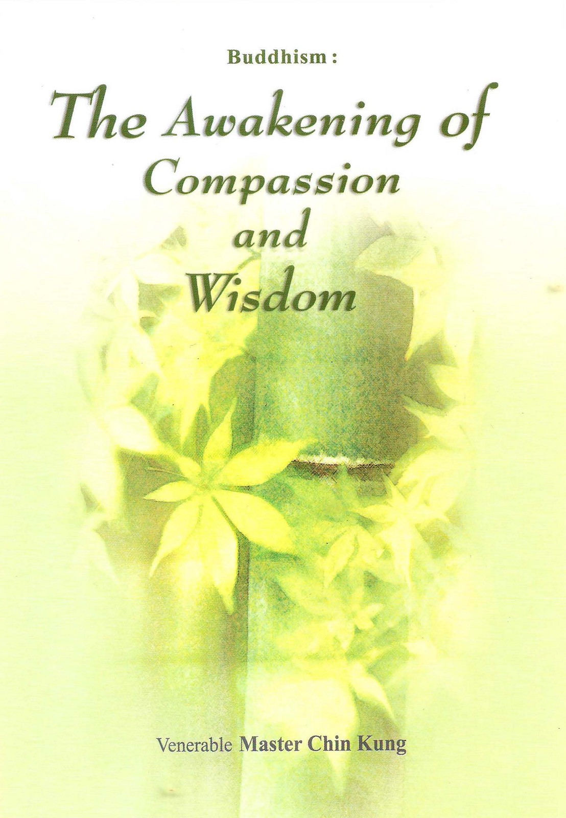 Buddhism The Awakening Of Compassion And Wisdom